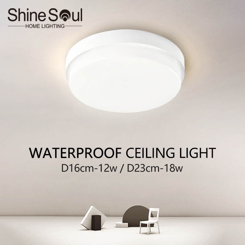 Outdoor Lighting Year Round - Lámpara de techo moderna IP65, resistente