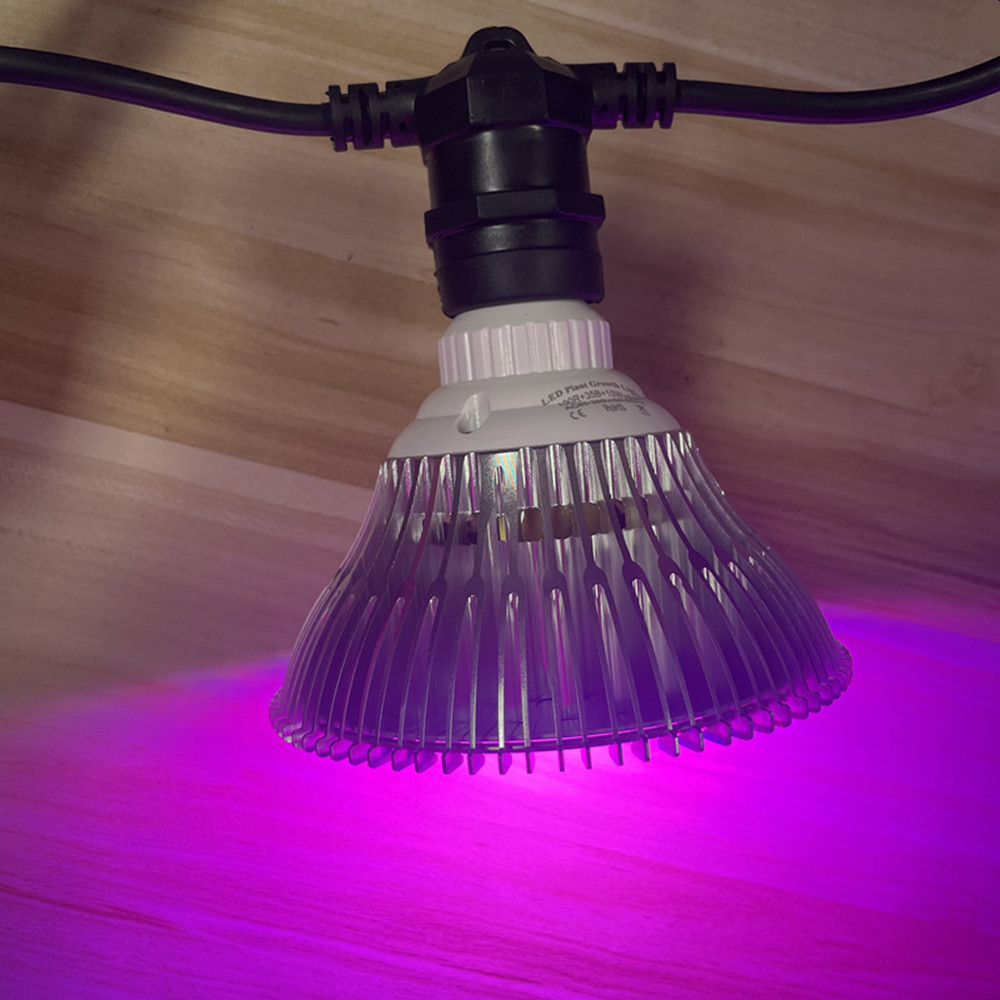 Cadena de luces LED de 10M, re - Lighting Wedding Outdoor reseña y precio