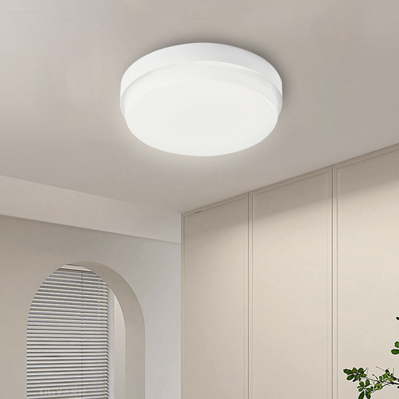 Lámpara de techo moderna IP65, - Outdoor Lighting Year Round reseña y precio